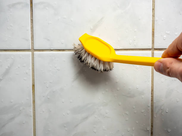 Best Mold Removal Specialists  in Kersey, CO