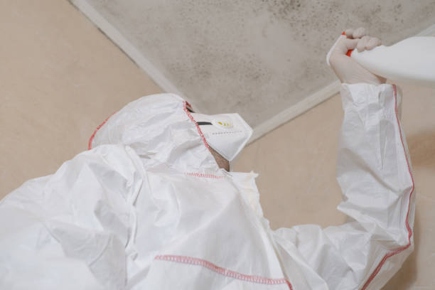 Home Mold Removal in Kersey, CO