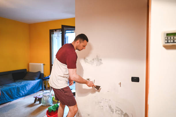 Best Fast Mold Removal  in Kersey, CO